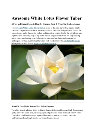 Awesome White Lotus Flower Tuber | Pure White Aquatic Bloom for Ponds