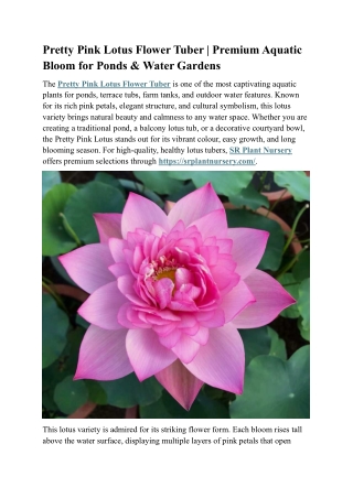 Pretty Pink Lotus Flower Tuber | Premium Pink Aquatic Bloom for Ponds