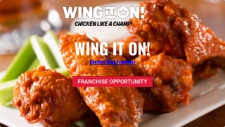 Wing It On! Franchise Opportunity