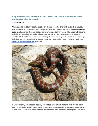 Why Professional Snake Catchers Near You Are Essential for Safe and Fast Snake Removal