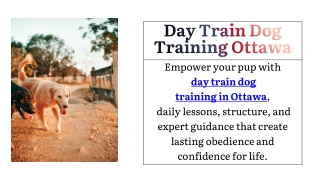 Day Train Dog Training Ottawa