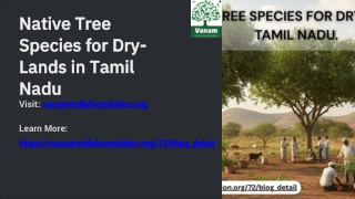 Native Tree Species for Dry-Lands in Tamil Nadu and How to Plant Them Properly