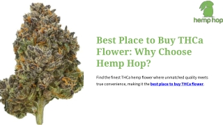 Best Place to Buy THCa Flower Why Choose Hemp Hop