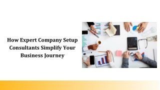 How Expert Company Setup Consultants Simplify Your Business Journey