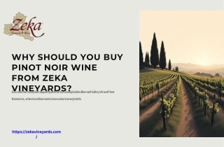 Why-Should-You-Buy-Pinot-Noir-Wine-from-Zeka-Vineyards.pdf