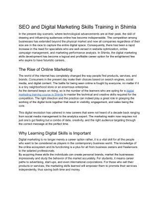 SEO and Digital Marketing Skills Training in Shimla