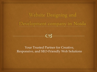 Website Designing and Development company in Noida.