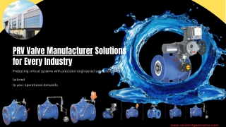 PRV-Valve-Manufacturer-Solutions-for-Every-Industry.pdf