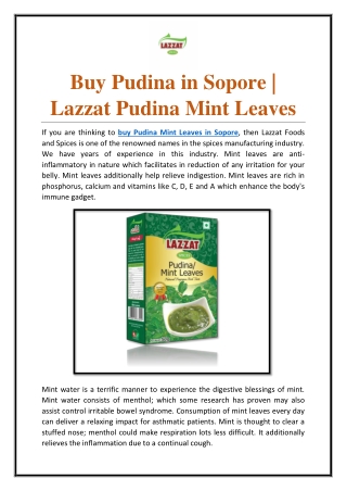 Buy Pudina in Sopore| Lazzat Pudina Mint Leaves