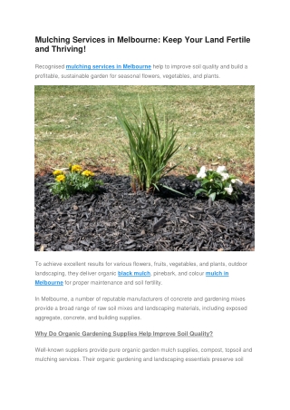 Mulching Services in Melbourne - Keep Your Land Fertile and Thriving