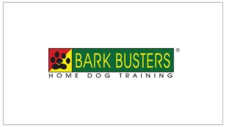 Reliable Dog Training in Boca Raton FL for Calm Behavior and Obedience
