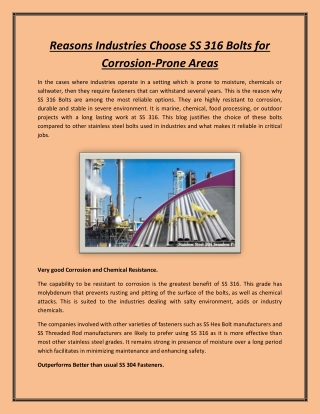 Reasons Industries Choose SS 316 Bolts for Corrosion-Prone Areas