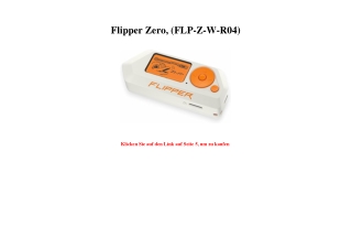 0905 Flipper Zero   FLP-Z-W-R04