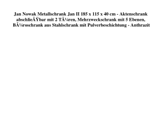 1786 Jan Nowak Metallschrank Jan II 185 x 115 x 40 cm - Aktenschrank abschlieÃƒÂŸbar mit 2 TÃƒÂ¼ren  Meh