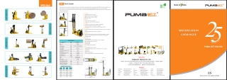 Standard version ES-10:12:15:20 | Puma Lift PVT.ltd