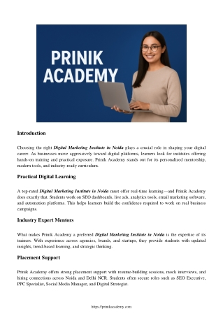 Best Digital Marketing Institute in Noida | Prinik Academy