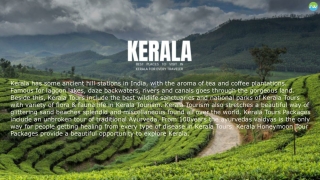 Experience the Best of Kerala Holiday: Top Tourist Destinations, Hotels in Keral