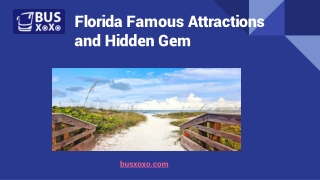Florida Famous Attraction and Hidden Gem