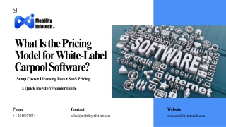 Pricing Model for White-Label Carpool Software