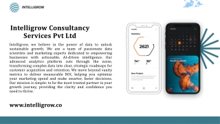 Intelligrow Consultancy Services Pvt Ltd