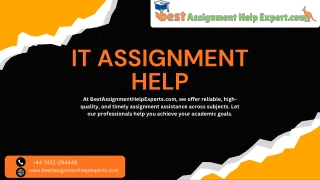 Your Brisbane Partner for Professional IT Assignment Assistance