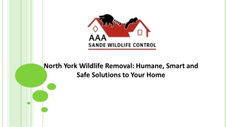 AAA Sande Wildlife Control