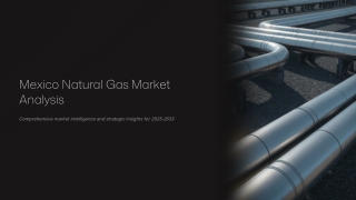 Mexico Natural Gas Market 2025: Size, Trends, Growth & Forecast 2025-2033