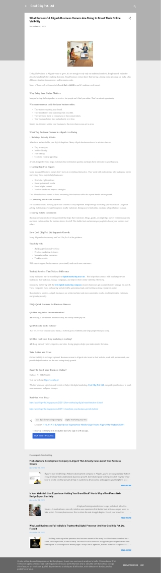 What Successful Aligarh Business Owners Are Doing to Boost Their Online Visibility