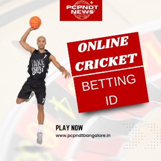 Online Cricket Betting Id (3)