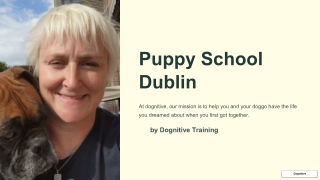 Puppy School Dublin