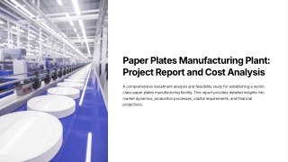 Paper-Plates-Manufacturing-Plant-Project-Report-and-Cost-Analysis