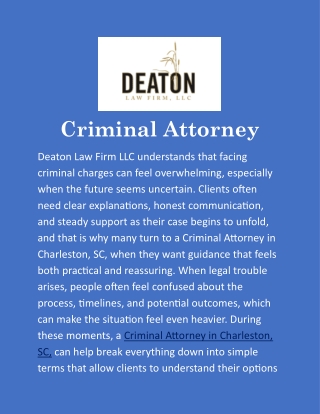 Criminal Attorney in Charleston, SC: Helping You Understand Your Legal Options