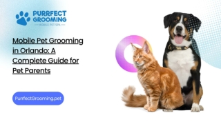 Mobile Pet Grooming in Orlando: A Complete Guide for Pet Parents