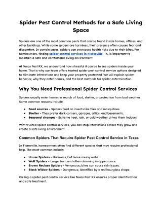 Safe and Effective Spider Control For Your Living Space