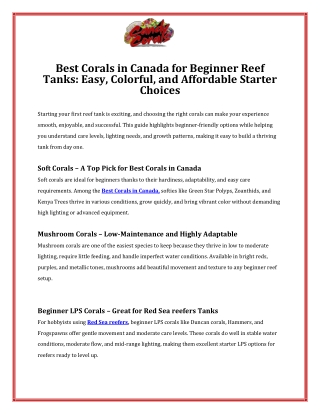 Best Corals in Canada for Beginner Reef Tanks Easy, Colorful, and Affordable Starter Choices