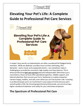 Elevating Your Pet's Life A Complete Guide to Professional Pet Care Services