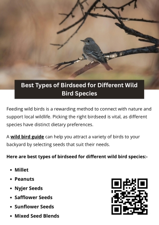 Best Types of Birdseed for Different Wild Bird Species