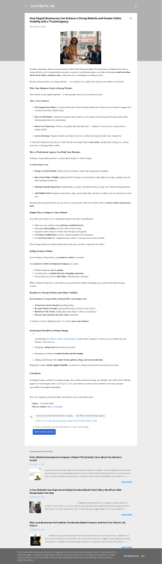 How Aligarh Businesses Can Achieve a Strong Website and Greater Online Visibility with a Trusted Agency