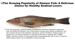 A Delicious Choice for Healthy Seafood Lovers