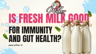 Is Fresh Milk Good for Immunity and Gut Health