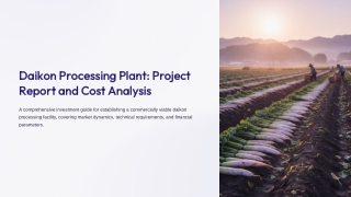 Setting Up a Daikon Processing Plant Report 2025 PPT