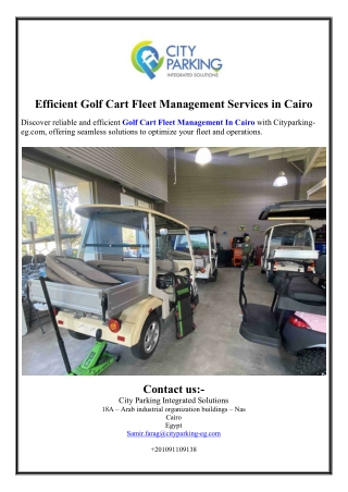 Efficient Golf Cart Fleet Management Services in Cairo