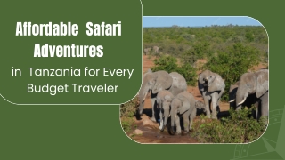 Affordable Safari Adventures in Tanzania for Every Budget Traveler