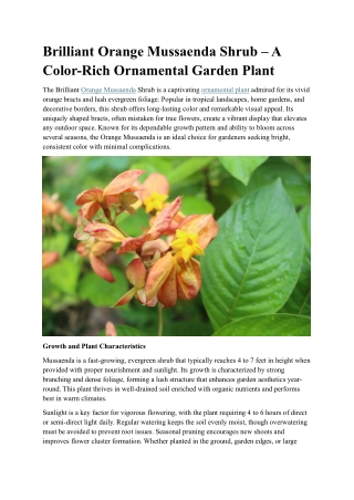 Mussaenda Orange Flowering Shrub – A Bright and Bold Garden Ornament