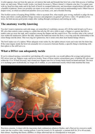 Toilet Repair Troubleshooting: When to Call a Pro