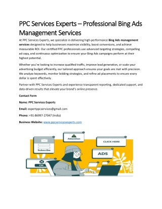 PPC Services Experts – Professional Bing Ads Management Services