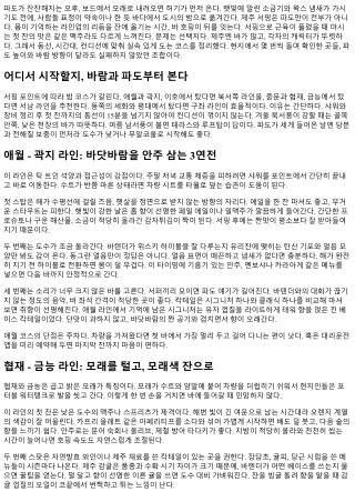 제주 서핑 후 즐기는 바 호핑 코스