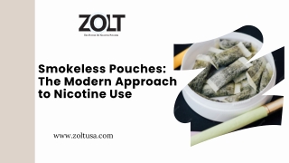 Smokeless Pouches The Modern Approach to Nicotine Use