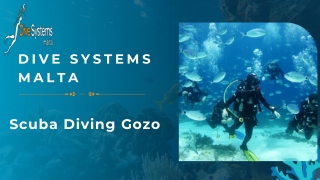 Scuba Diving Gozo