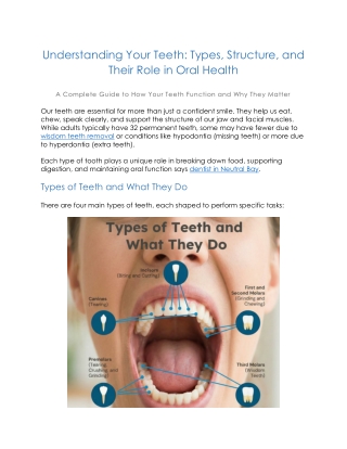 Understanding Your Teeth - Types, Structure, and Their Role in Oral Health